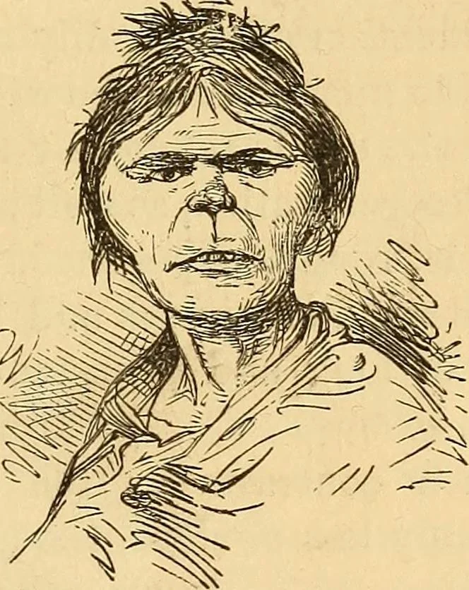 An illustration from New physiognomy, 1867, leaf 544
