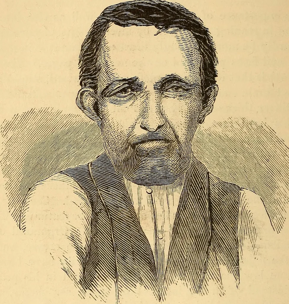 An illustration from New physiognomy, 1867, leaf 547