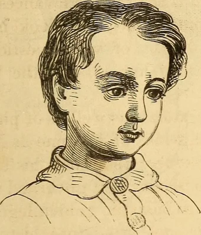 An illustration from New physiognomy, 1867, leaf 560