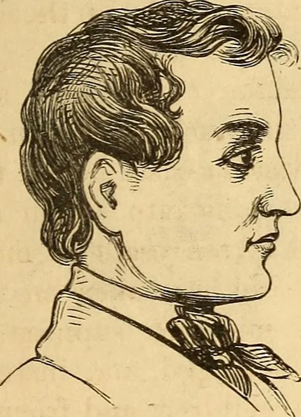 An illustration from New physiognomy, 1867, leaf 560