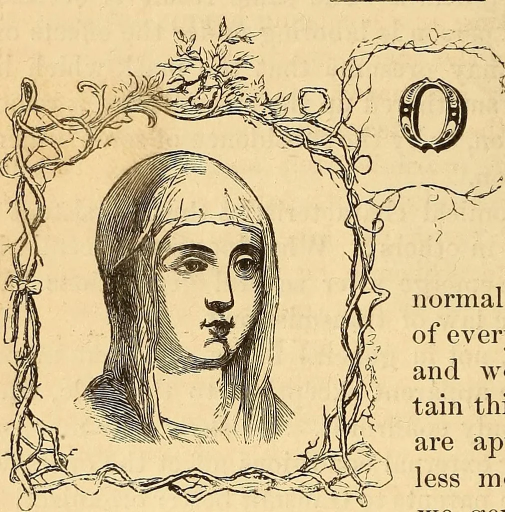 An illustration from New physiognomy, 1867, leaf 569