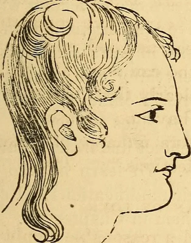 An illustration from New physiognomy, 1867, leaf 572