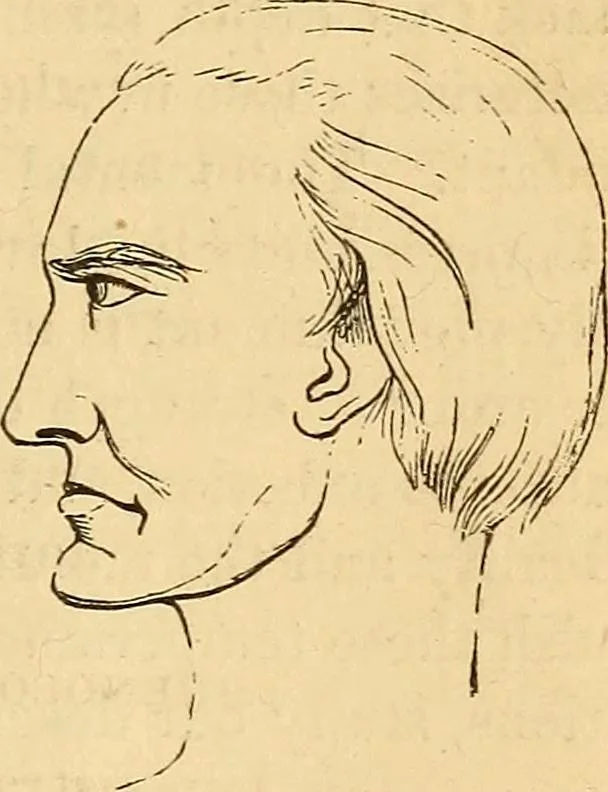 An illustration from New physiognomy, 1867, leaf 572