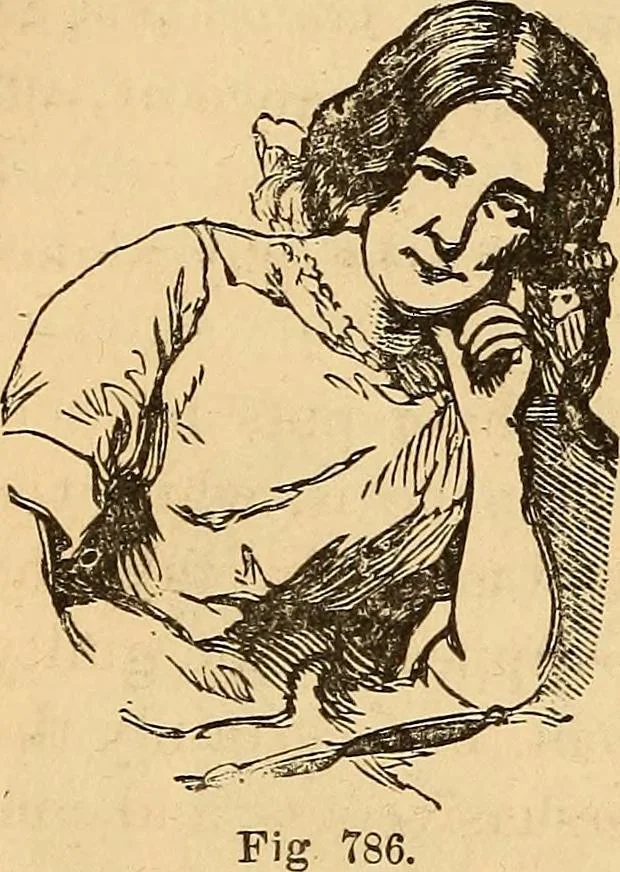 An illustration from New physiognomy, 1867, leaf 587