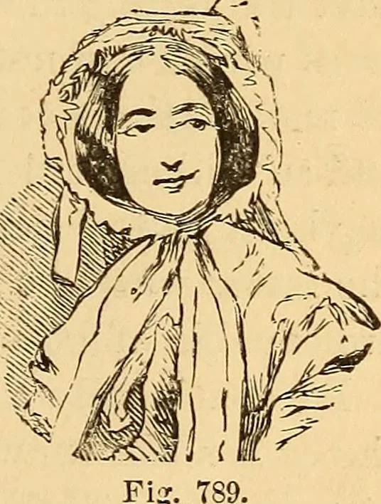 An illustration from New physiognomy, 1867, leaf 588