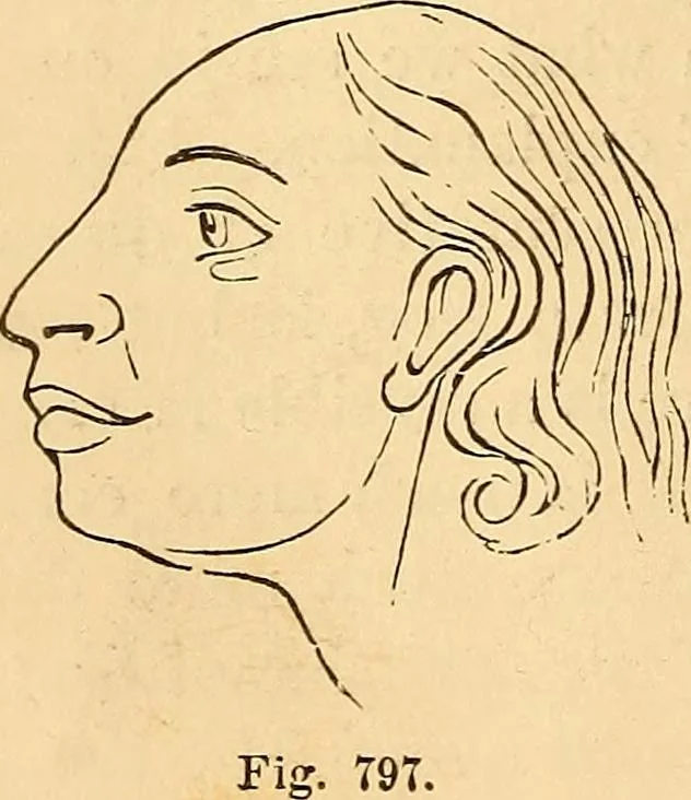 An illustration from New physiognomy, 1867, leaf 593