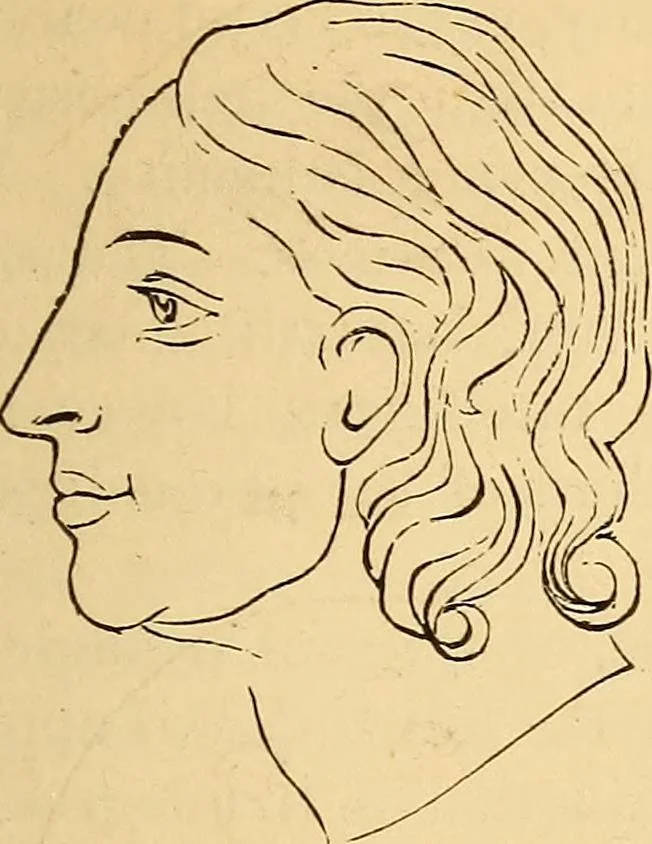 An illustration from New physiognomy, 1867, leaf 594