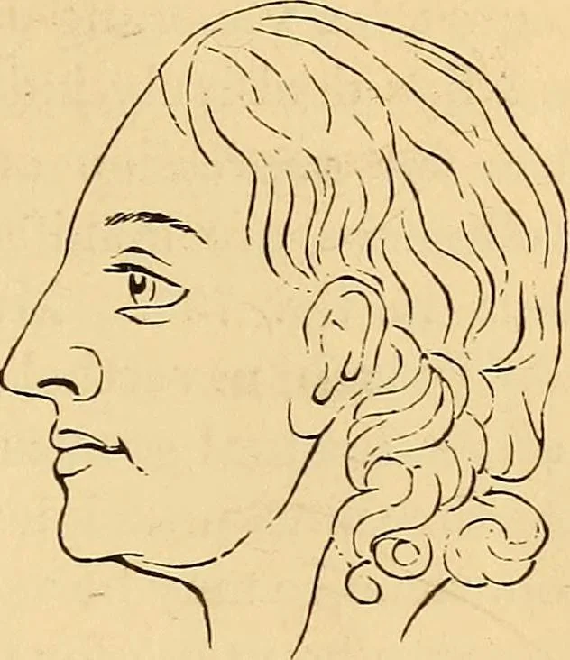 An illustration from New physiognomy, 1867, leaf 594