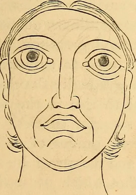 An illustration from New physiognomy, 1867, leaf 594