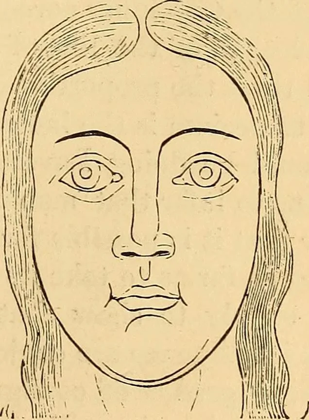 An illustration from New physiognomy, 1867, leaf 594