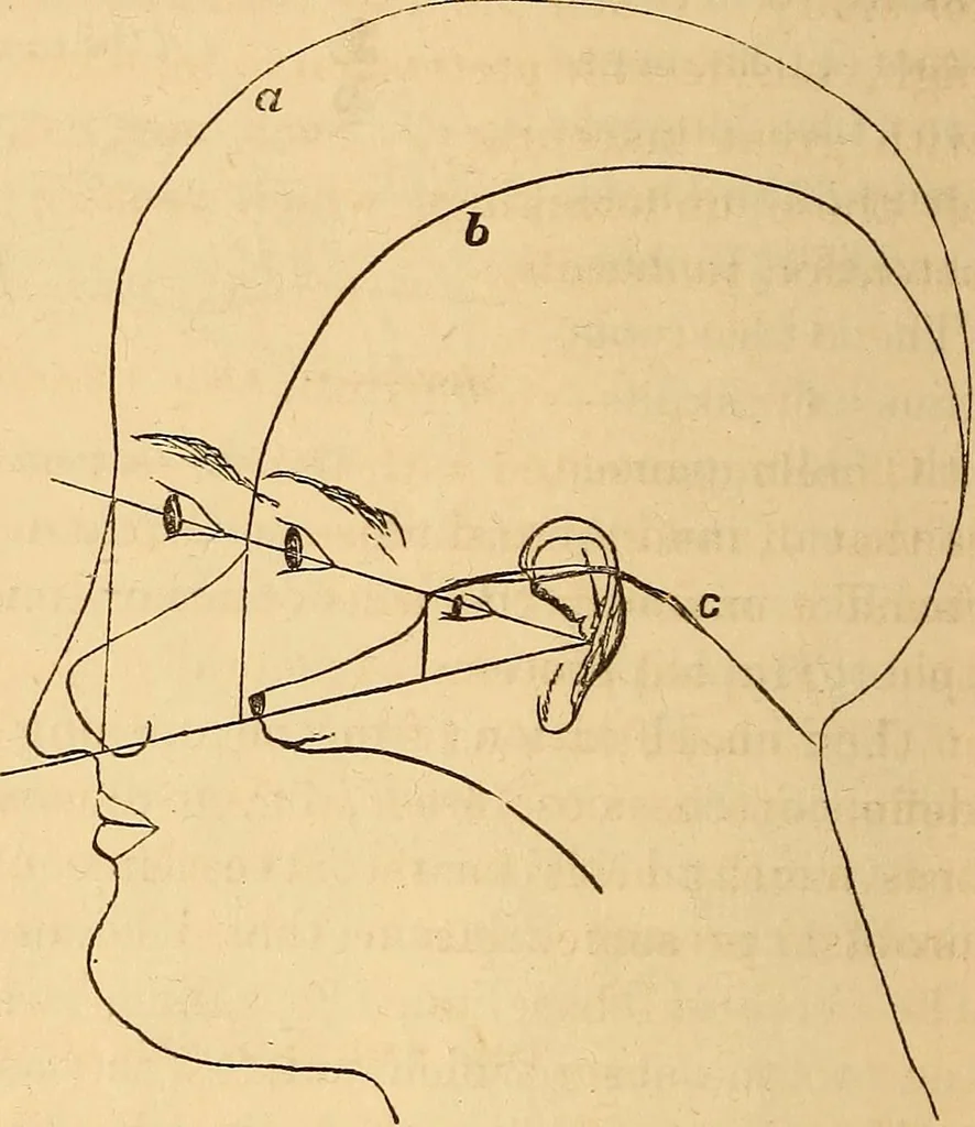 An illustration from New physiognomy, 1867, leaf 605
