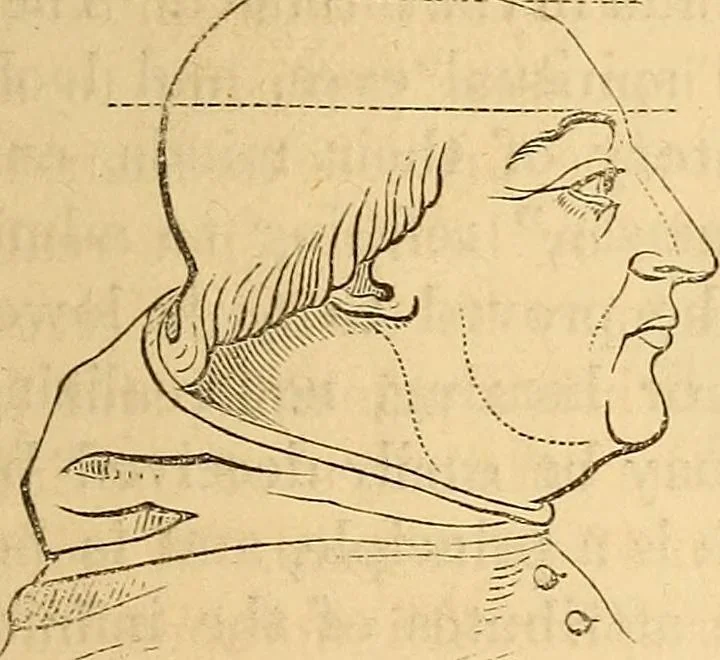 An illustration from New physiognomy, 1867, leaf 608
