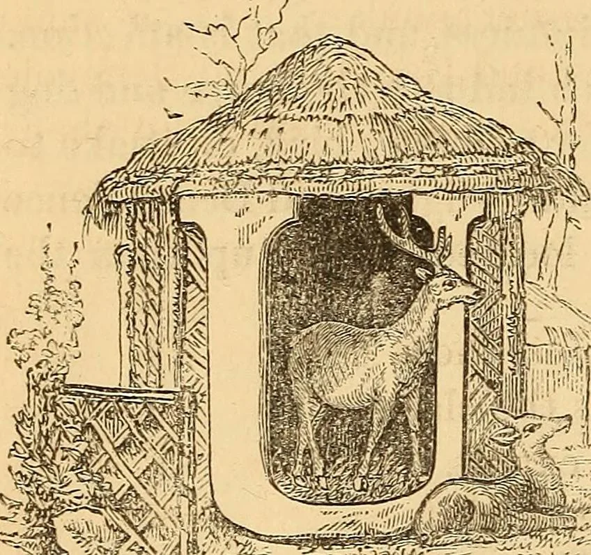 An illustration from New physiognomy, 1867, leaf 611