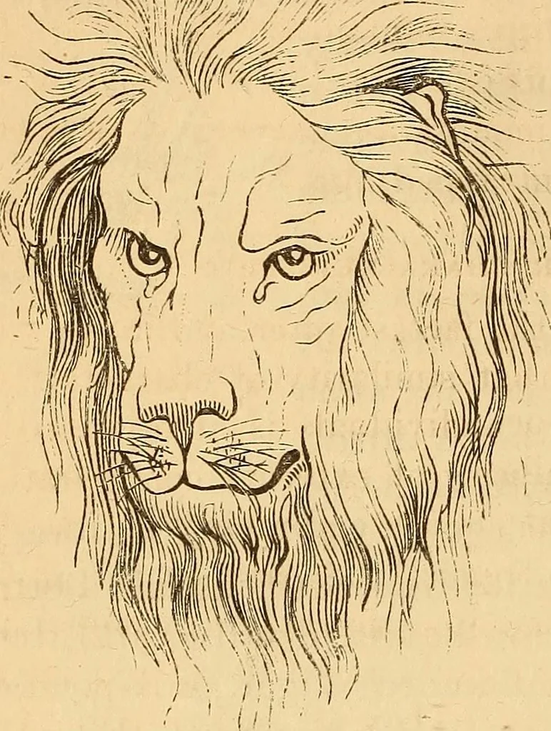 An illustration from New physiognomy, 1867, leaf 613