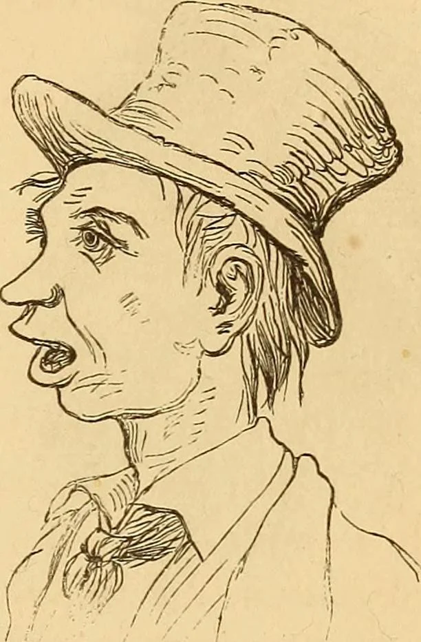 An illustration from New physiognomy, 1867, leaf 622