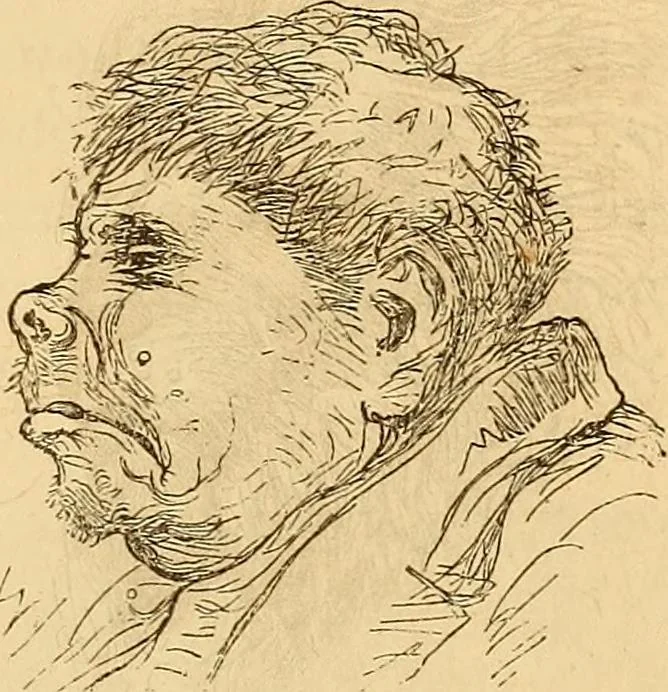 An illustration from New physiognomy, 1867, leaf 624