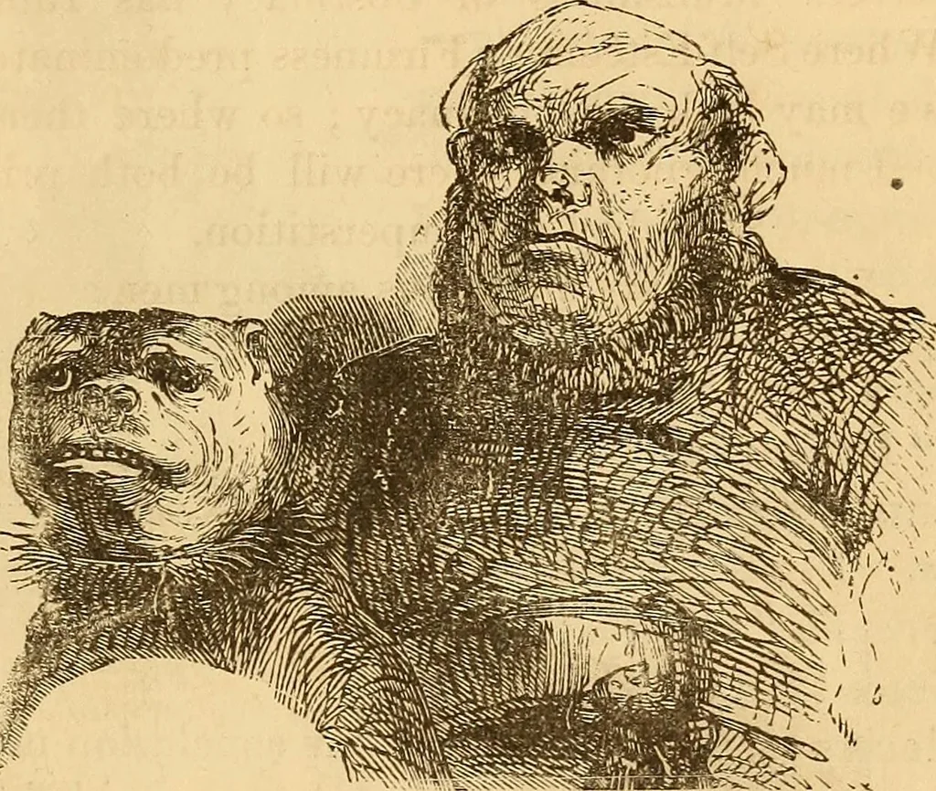 An illustration from New physiognomy, 1867, leaf 626