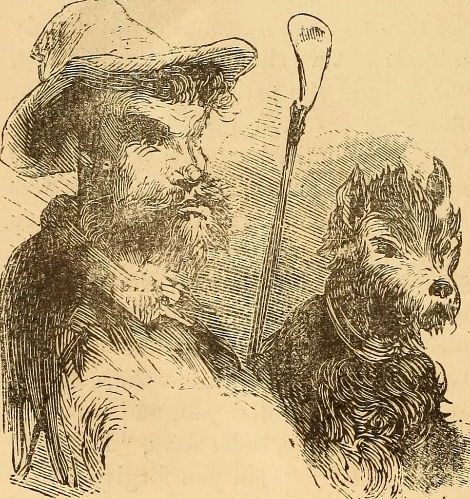 An illustration from New physiognomy, 1867, leaf 627