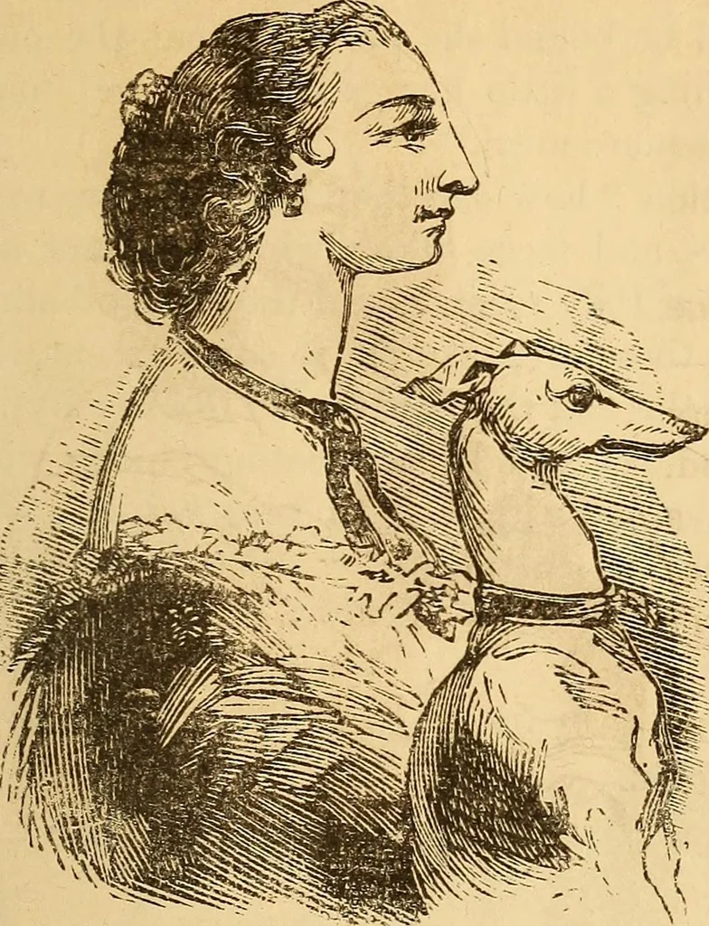 An illustration from New physiognomy, 1867, leaf 628