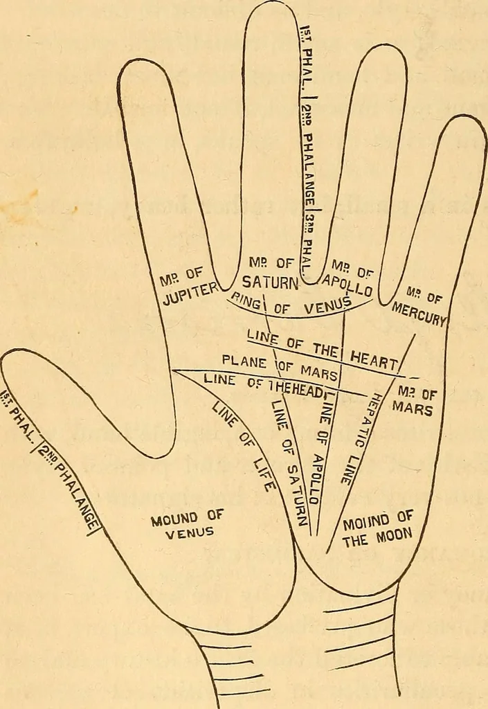 An illustration from New physiognomy, 1867, leaf 641
