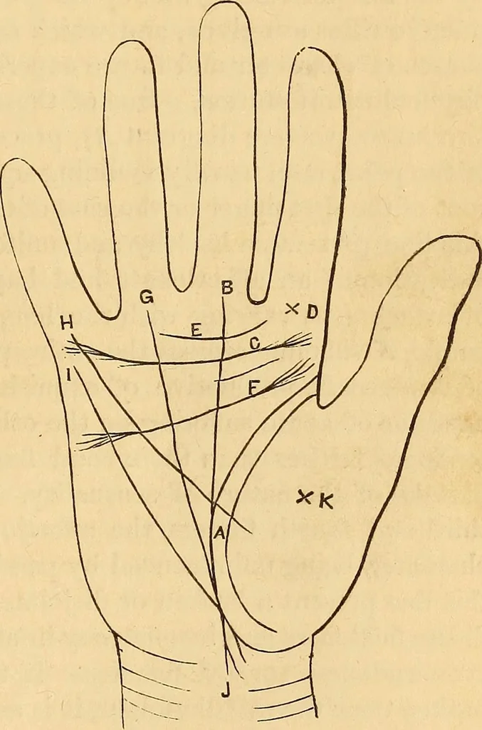 An illustration from New physiognomy, 1867, leaf 642