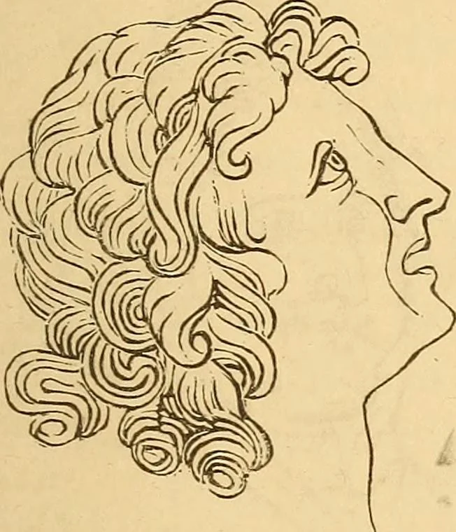 An illustration from New physiognomy, 1867, leaf 650