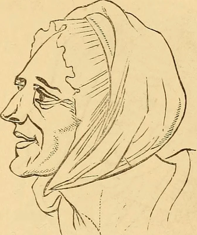An illustration from New physiognomy, 1867, leaf 650