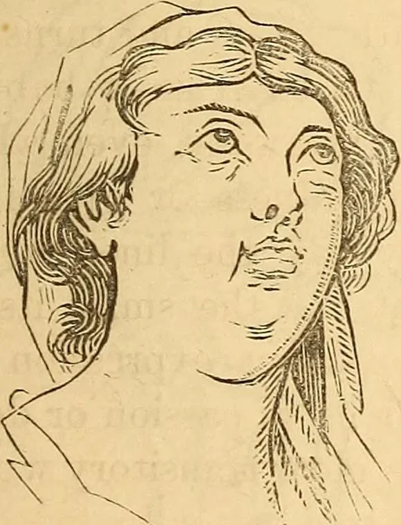 An illustration from New physiognomy, 1867, leaf 650