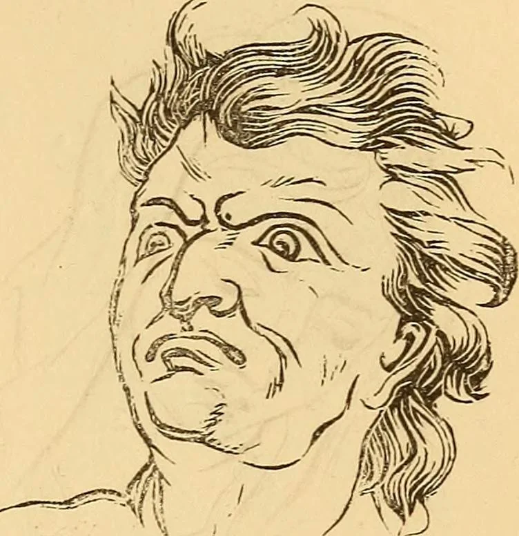 An illustration from New physiognomy, 1867, leaf 652