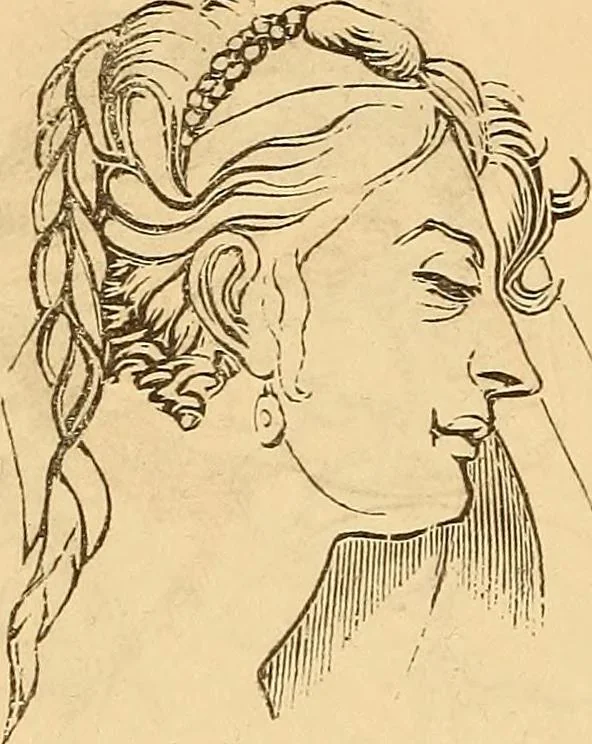 An illustration from New physiognomy, 1867, leaf 653