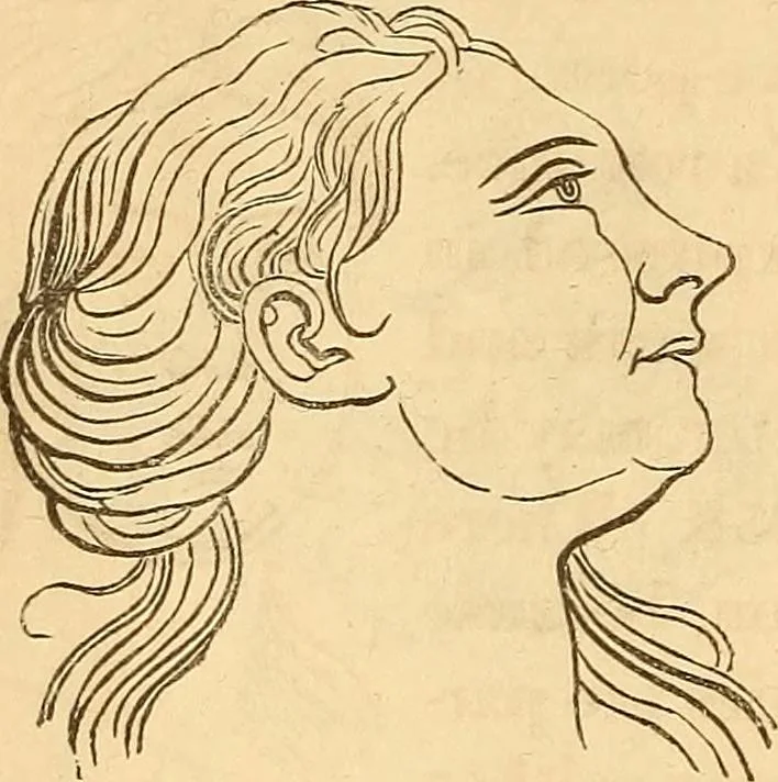 An illustration from New physiognomy, 1867, leaf 653
