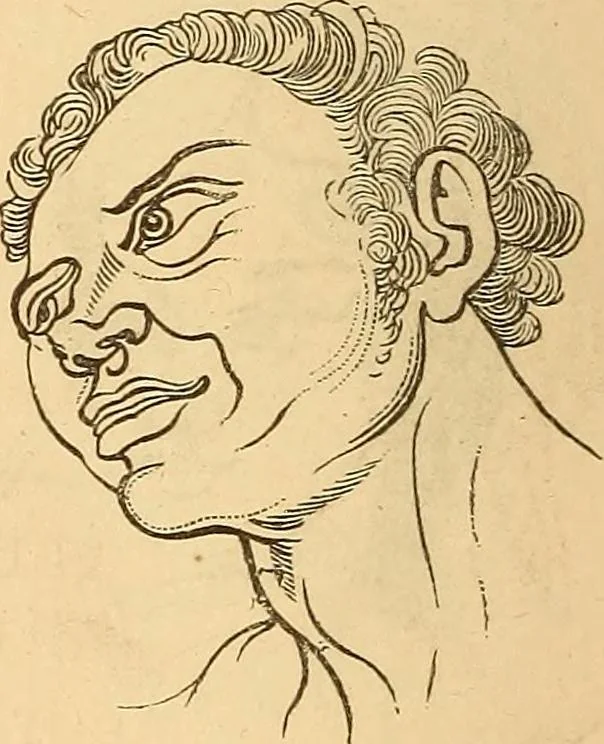 An illustration from New physiognomy, 1867, leaf 653