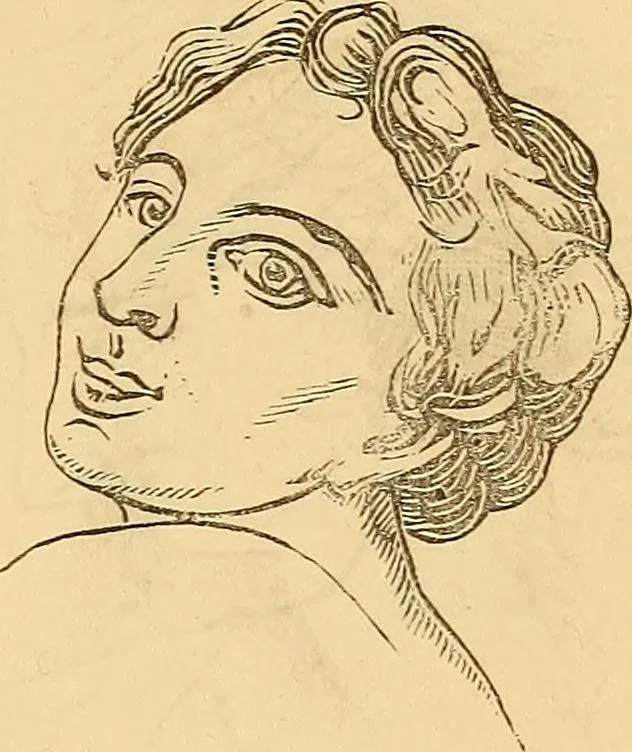 An illustration from New physiognomy, 1867, leaf 654