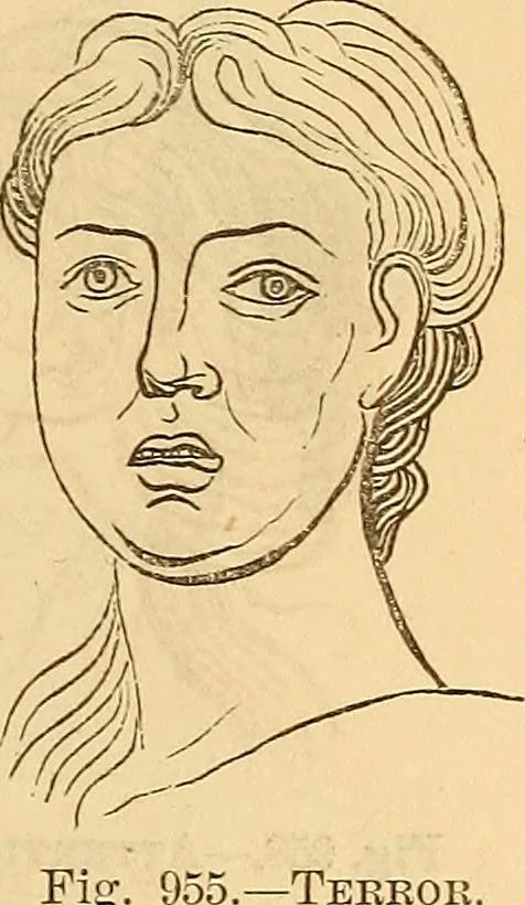 An illustration from New physiognomy, 1867, leaf 654
