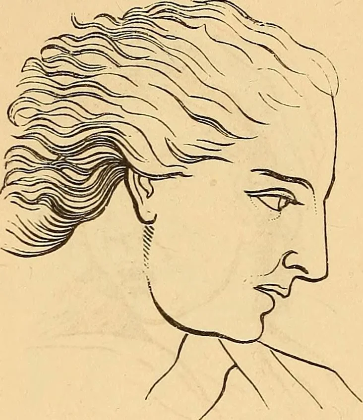 An illustration from New physiognomy, 1867, leaf 655