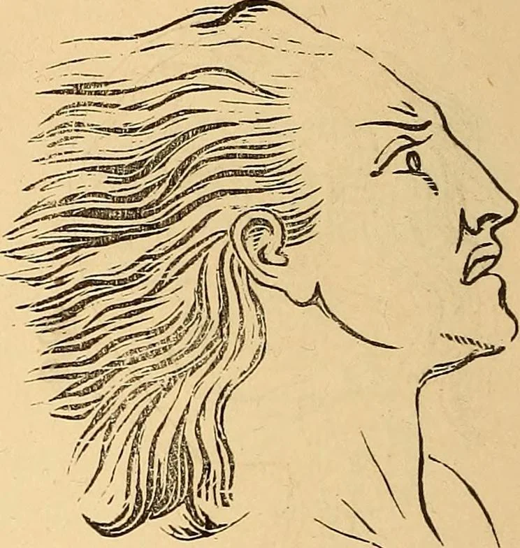 An illustration from New physiognomy, 1867, leaf 655