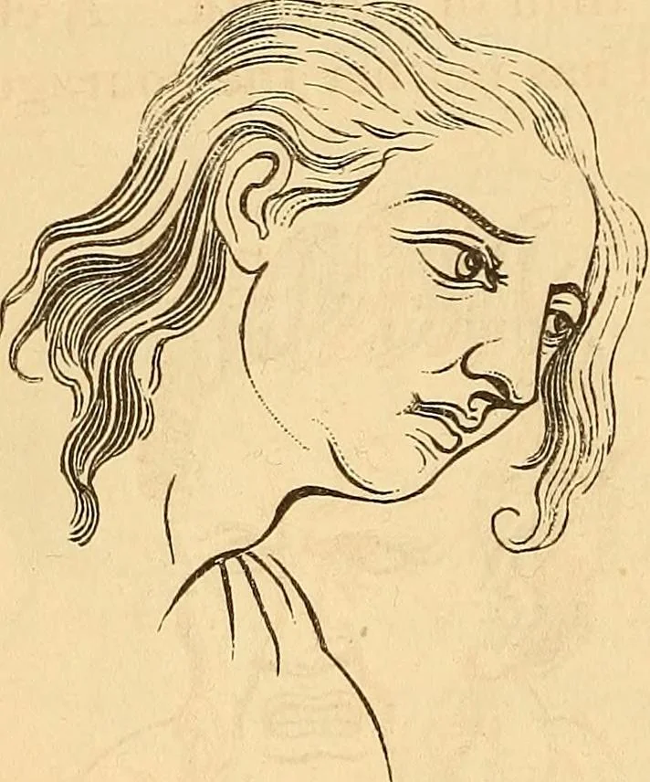 An illustration from New physiognomy, 1867, leaf 655