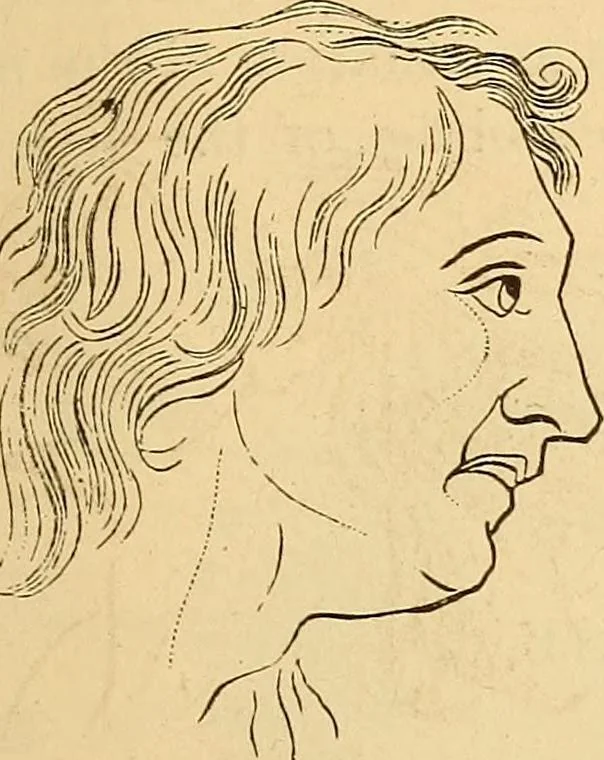 An illustration from New physiognomy, 1867, leaf 656
