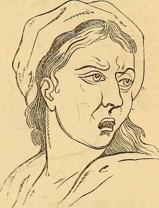 An illustration from New physiognomy, 1867, leaf 656
