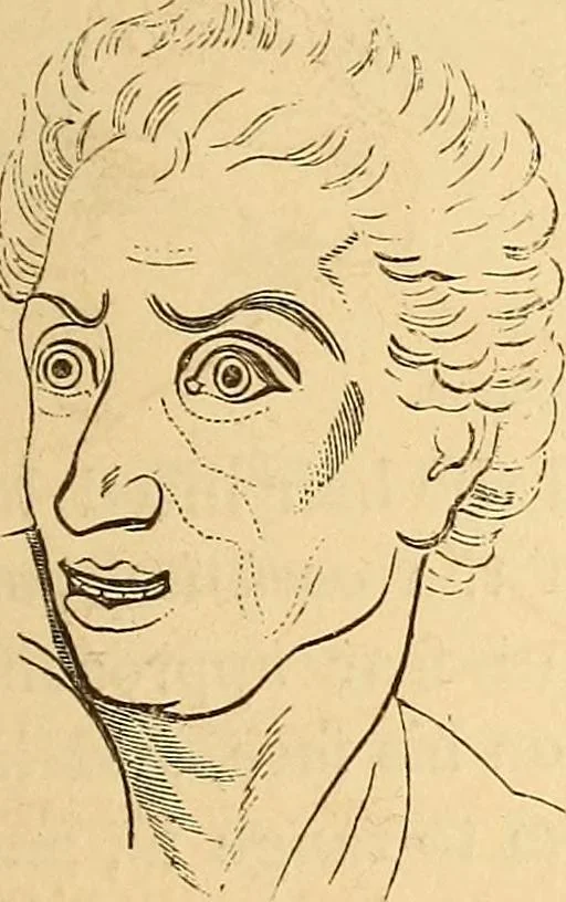 An illustration from New physiognomy, 1867, leaf 656