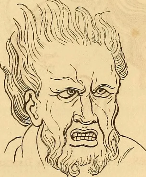 An illustration from New physiognomy, 1867, leaf 656