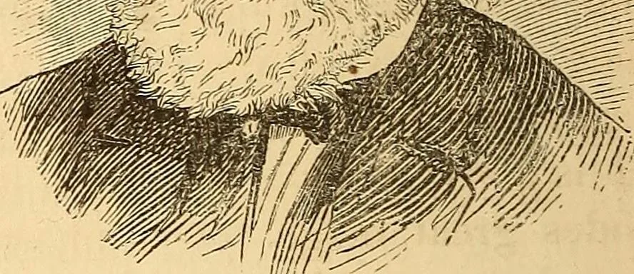 An illustration from New physiognomy, 1867, leaf 675