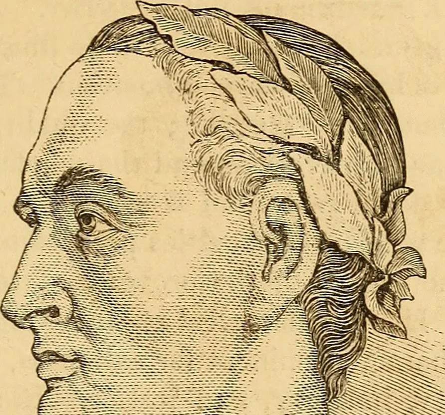 An illustration from New physiognomy, 1867, leaf 720