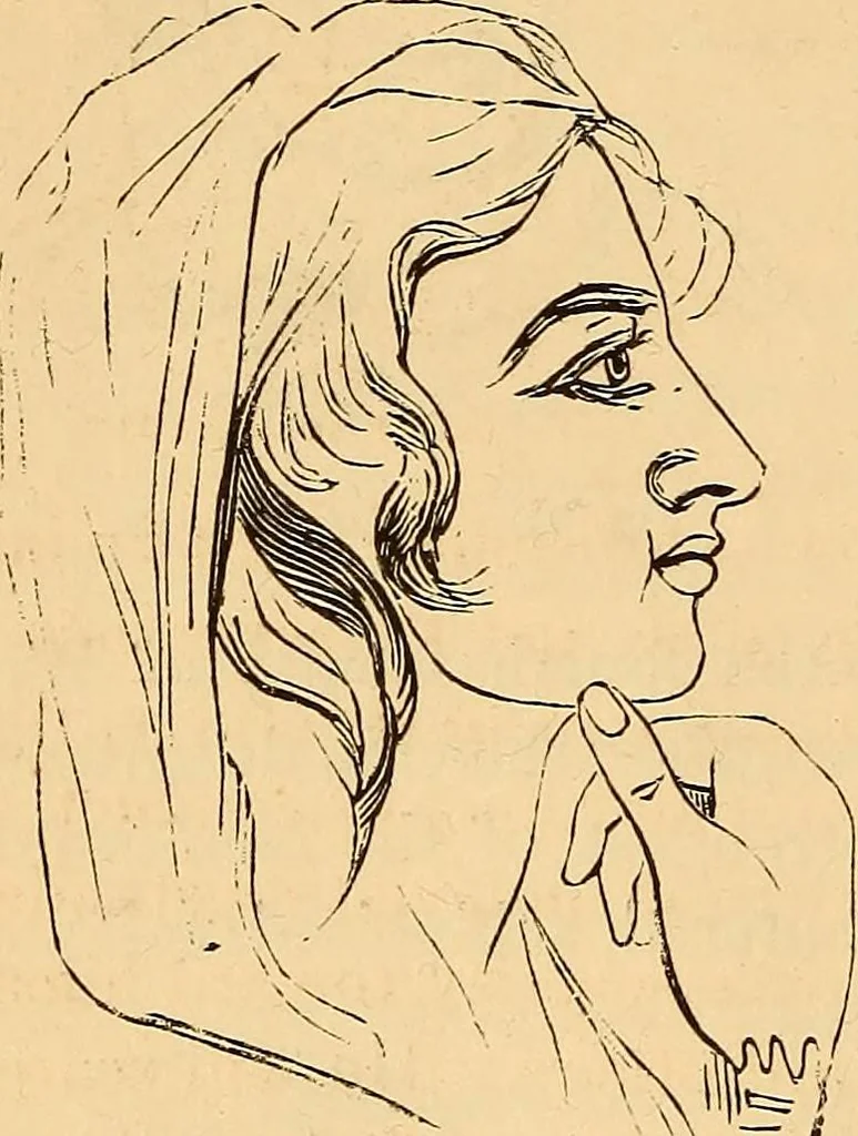 An illustration from New physiognomy, 1867, leaf 73
