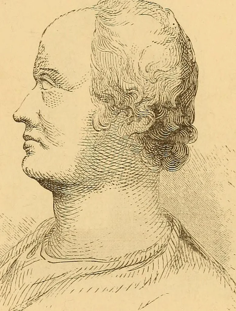 An illustration from New physiognomy, 1867, leaf 730