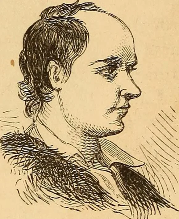 An illustration from New physiognomy, 1867, leaf 735