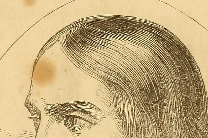 An illustration from New physiognomy, 1867, leaf 738