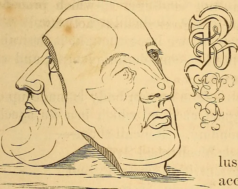 An illustration from New physiognomy, 1867, leaf 746