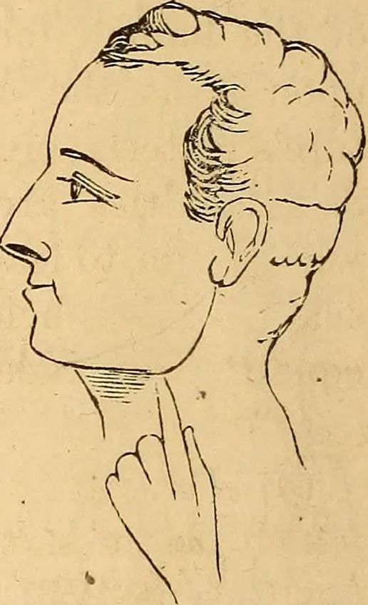 An illustration from New physiognomy, 1867, leaf 75
