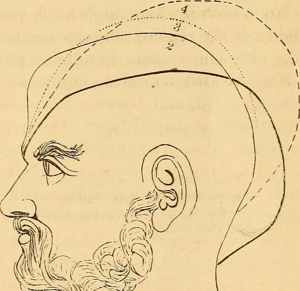 An illustration from New physiognomy, 1867, leaf 754